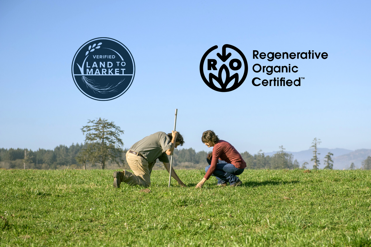 The First Certified Regenerative Dairy in the U.S. Alexandre Family Farm