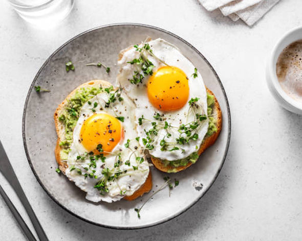 Large Pasture-Raised Organic Eggs – Alexandre Family Farm, LLC