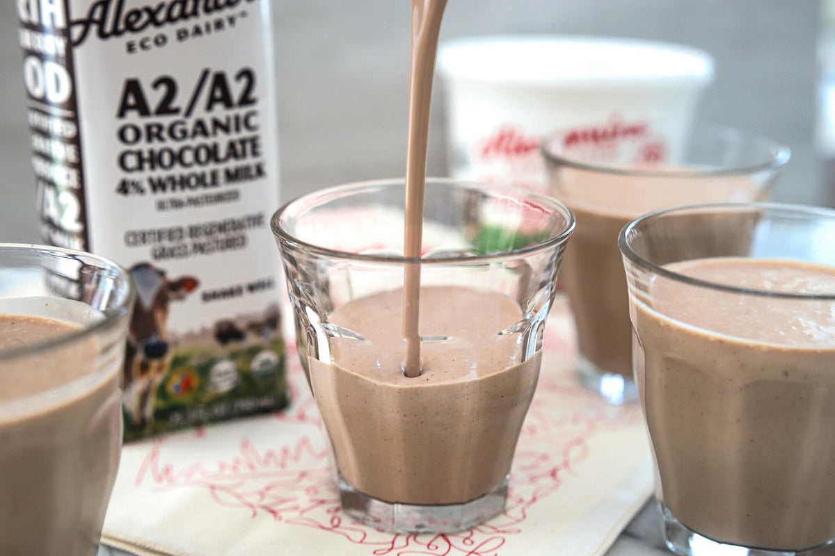Chooclate Peanut Butter Banana Protein Smoothie