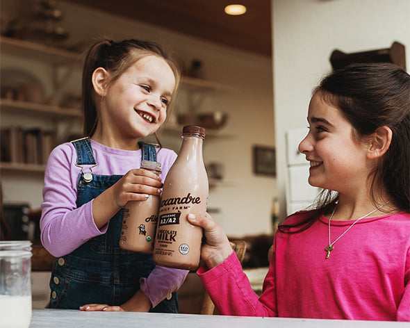 Chocolate Milk, A2/A2, Organic, Regenerative – Alexandre Family Farm